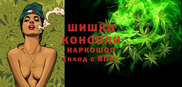 МДПВ Лиски