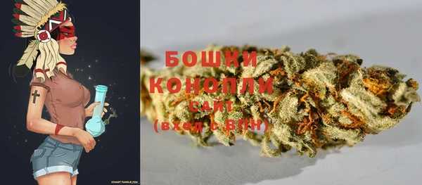 МДПВ Лиски